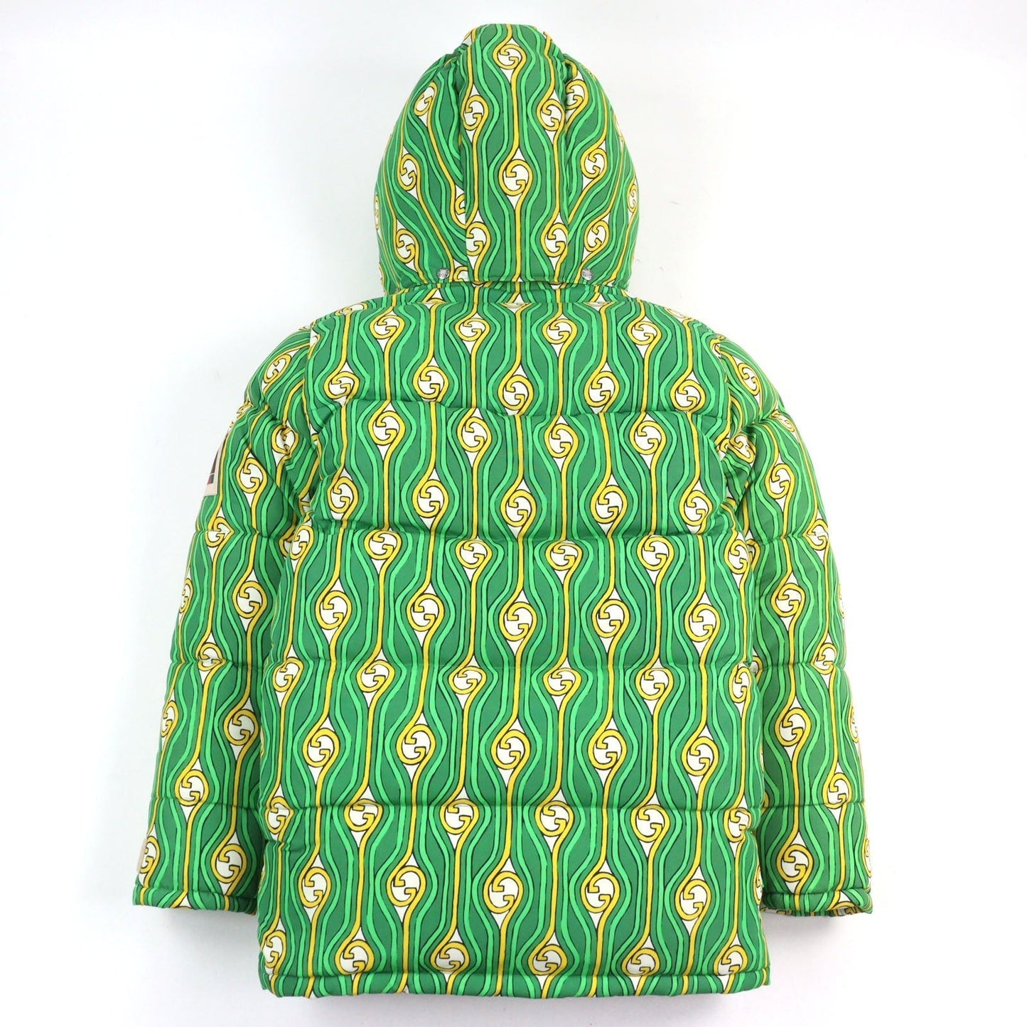 Gucci×The North Face Interlocking G Down Jacket