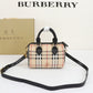 B-Berry Bags - Women Ameliave Luxury Bags - 813