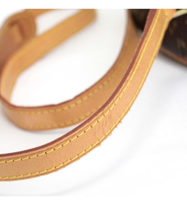 Louis Vuitton Blower Shoulder Bag without Solid Monogram