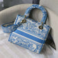Amelia - DYOR   BAGS FOR WOMEN - FASHION LUXURY BAGS 489