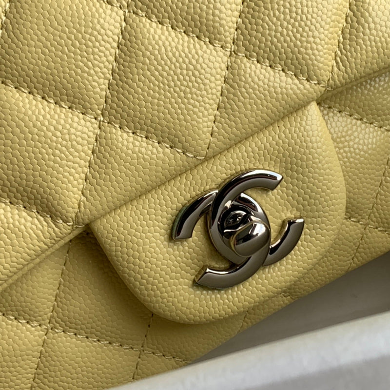 Amelia- CHL Bags - 6615