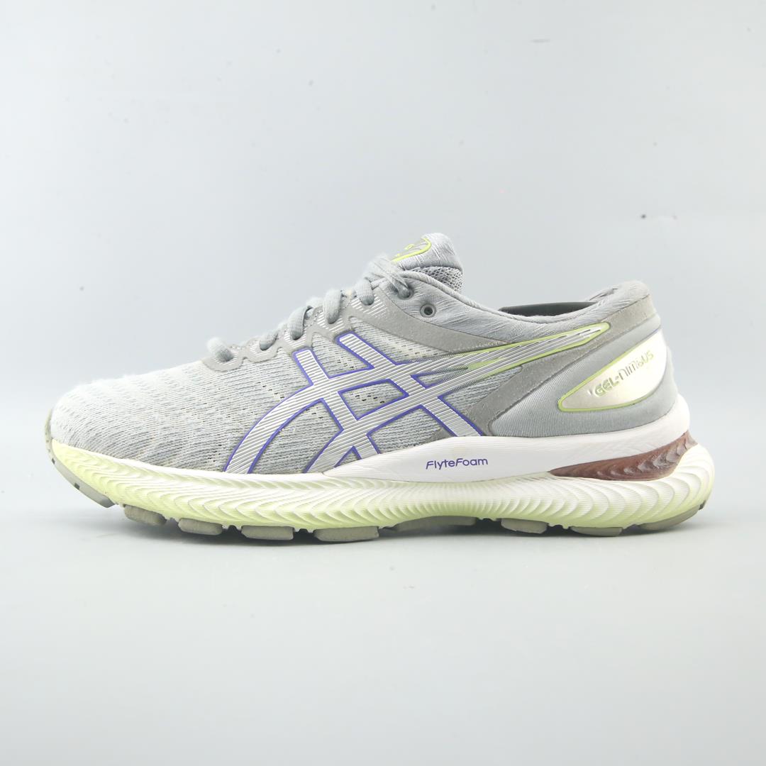 ASICS GEL NIMBUS 22
