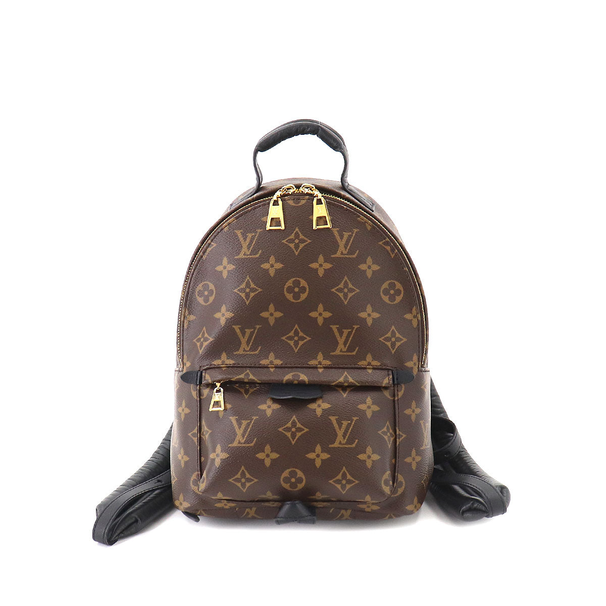 Louis Vuitton Monogram Palm Springs Backpack PM Backpack Brown