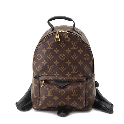 Louis Vuitton Monogram Palm Springs Backpack PM Backpack Brown
