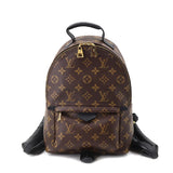 Louis Vuitton Monogram Palm Springs Backpack PM Backpack Brown