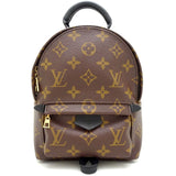 Louis Vuitton Monogram Palm Springs MINI Brown Mini Backpack