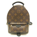 Louis Vuitton Monogram Palm Springs Backpack MINI Brown