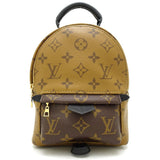 Louis Vuitton Monogram Reverse Palm Springs Mini Backpack