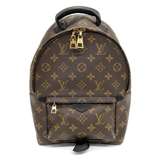 Louis Vuitton Rucksack Palm Springs Backpack PM Monogram Brown