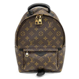 Louis Vuitton Rucksack Palm Springs Backpack PM Monogram Brown