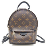 Louis Vuitton Monogram Palm Springs Backpack Mini Rucksack Brown