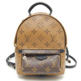 Louis Vuitton Palm Springs Backpack MINI Rucksack Brown