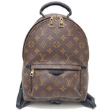 Louis Vuitton Monogram Palm Springs PM Backpack Brown