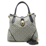 Louis Vuitton  Monogram Idile Elegy Ankle 2way Bag
