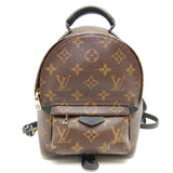 Louis Vuitton Monogram Palm Springs Backpack Mini Brown Rucksack
