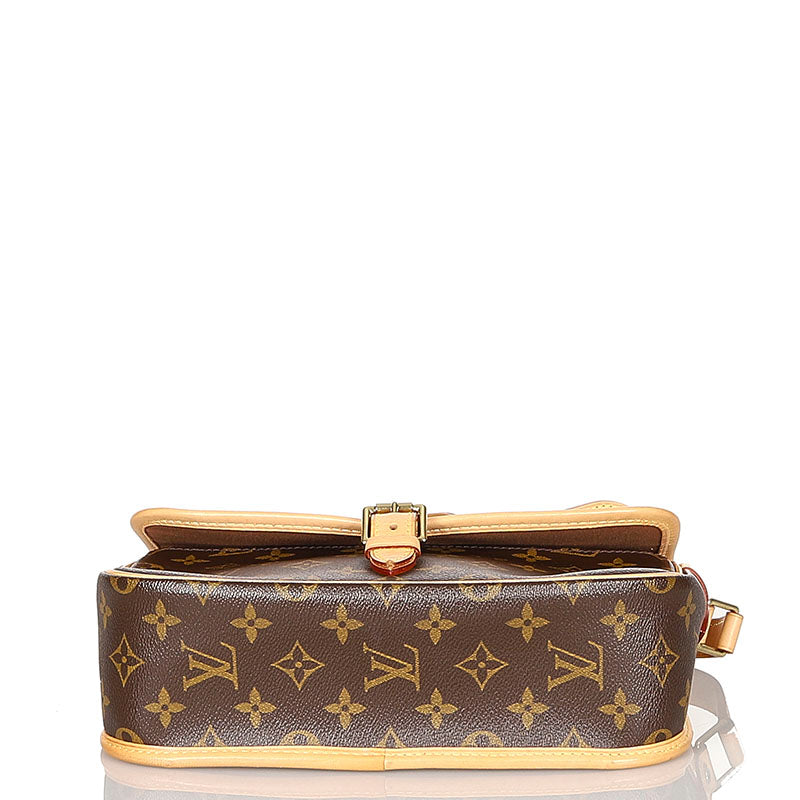 Louis Vuitton Monogram Sologne Brown PVC Leather Shoulder Bag
