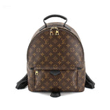 Louis Vuitton Monogram Palm Springs Backpack MM Brown