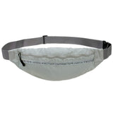 Louis Vuitton Gray Belt Bag Body Bag Waist Pouch