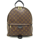 Louis Vuitton  Monogram Palm Springs Backpack MM Brown