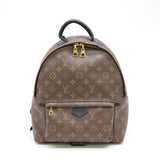 Louis Vuitton Backpack Rucksack Monogram Reverse Palm