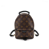 Louis Vuitton Monogram Palm Springs Backpack Mini Rucksack