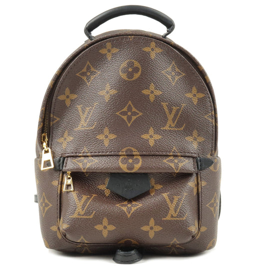 Louis Vuitton Monogram Palm Springs Backpack Mini Rucksack