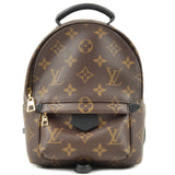 Louis Vuitton Monogram Palm Springs Backpack Mini Rucksack