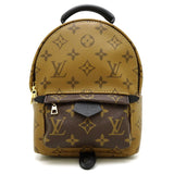 Louis Vuitton Monogram Reverse Palm Springs Backpack