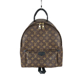 Louis Vuitton Palm Springs Backpack PM Monogram