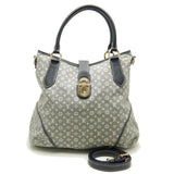 Louis Vuitton Monogram Idile Elegy Ankle 2WAY Bag Gray