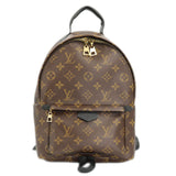 Louis Vuitton Palm Springs Backpack Monogram Brown