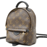 Louis Vuitton Bag Monogram Palm Springs Mini Rucksack Backpack