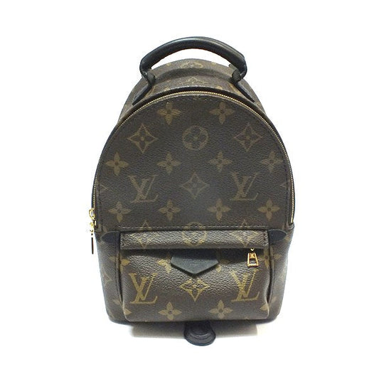 Louis Vuitton Monogram Palm Springs Backpack Mini Rucksack