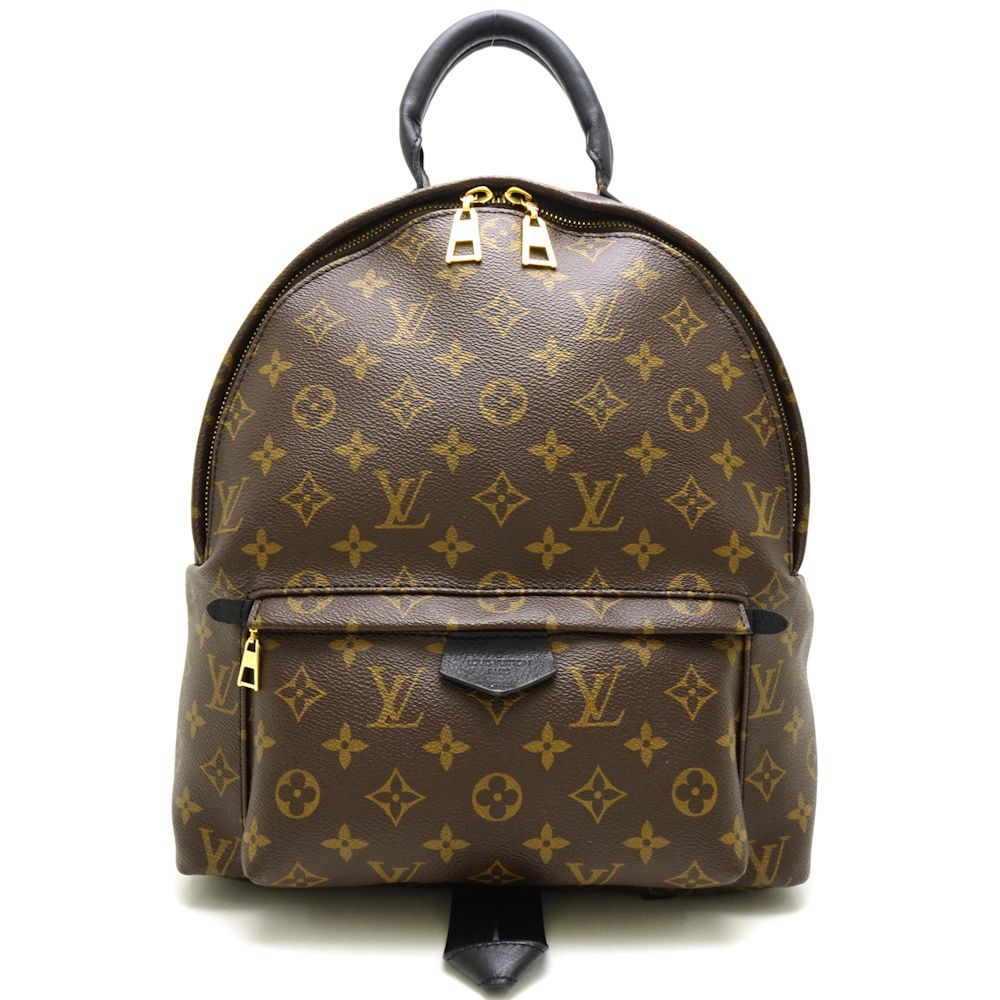 Louis Vuitton Palm Springs Backpack MM Backpack Brown