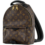 Louis Vuitton Springs PM Rucksack Monogram Backpack