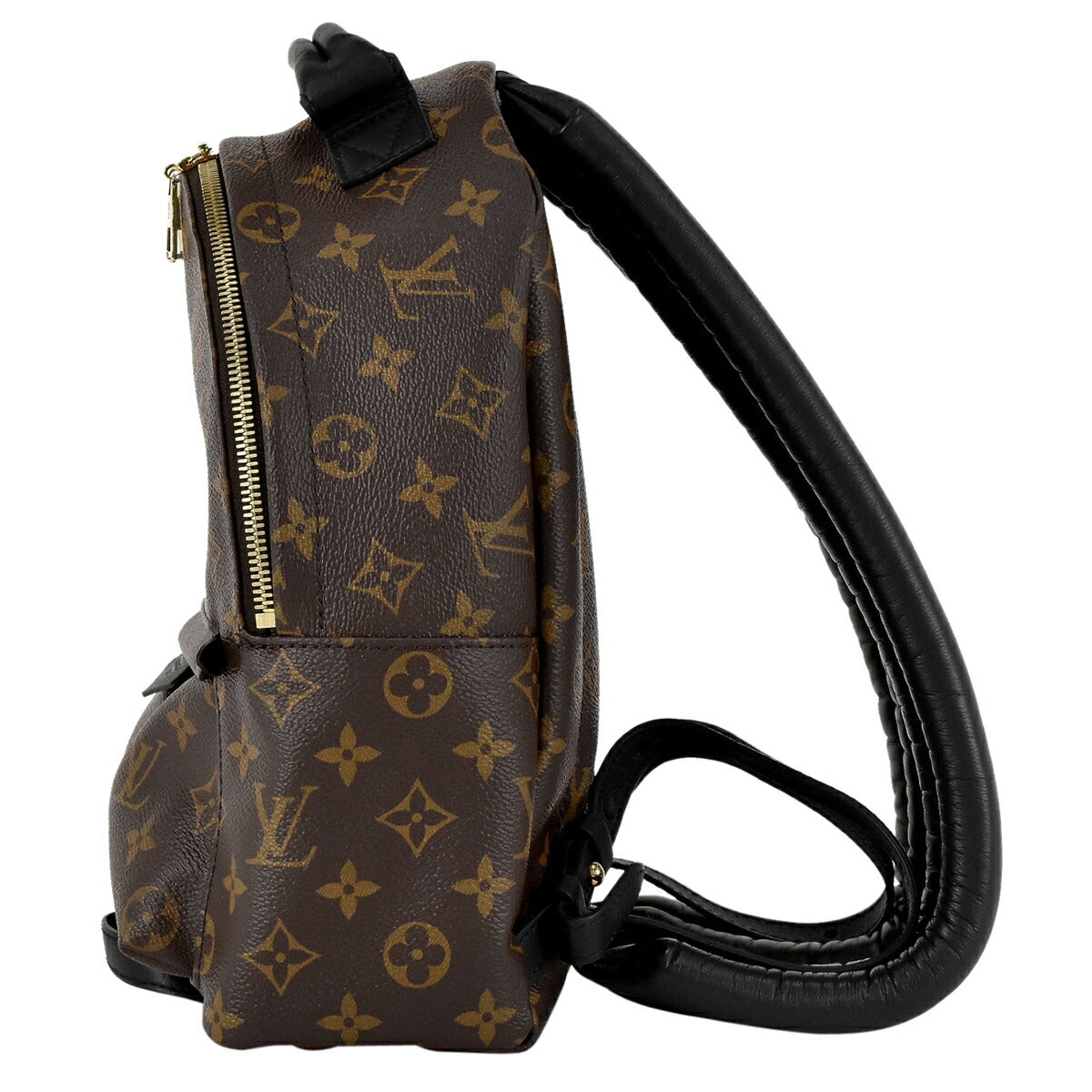 Louis Vuitton Springs PM Rucksack Monogram Backpack