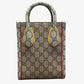 Gucci EXQUISITE GG Supreme Leather 2way Bag