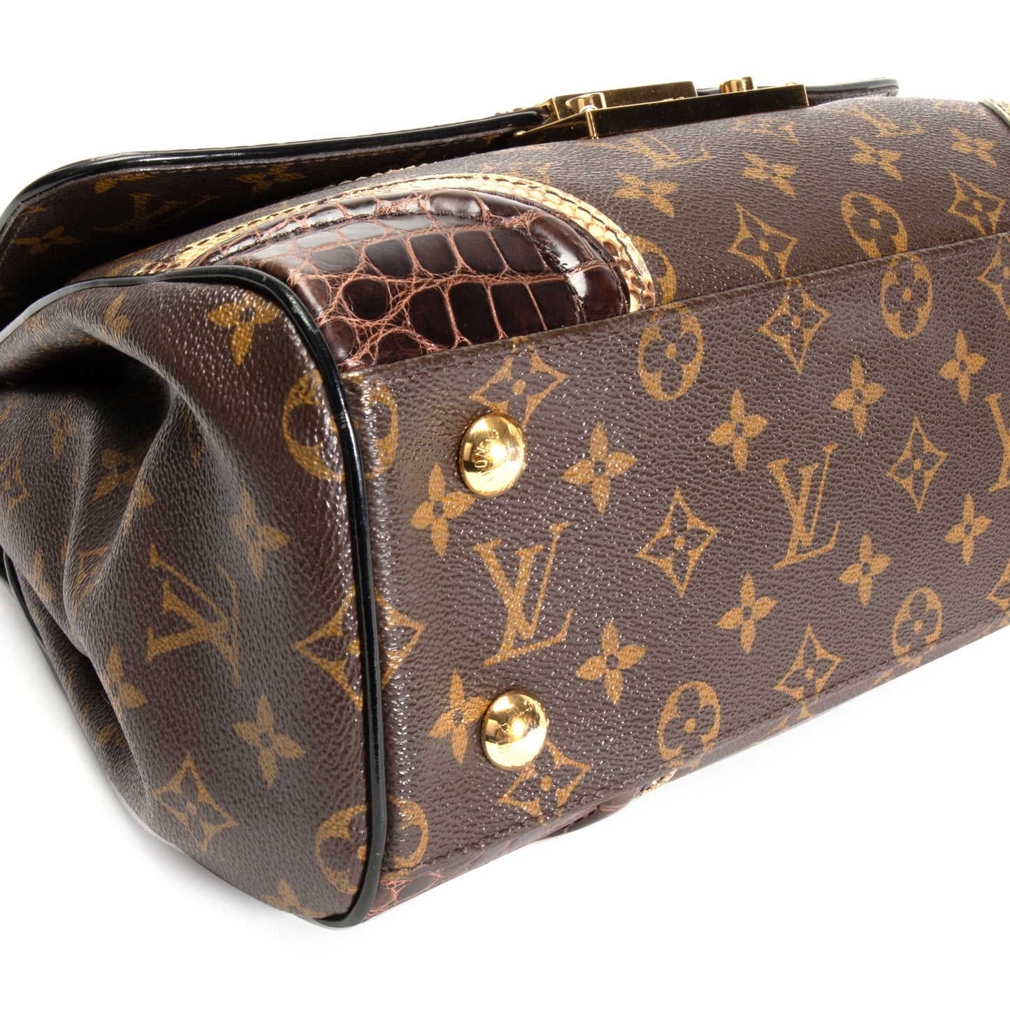 Louis Vuitton Louis Vuitton Limited Edition Monogramissime Alligator & Python Bag