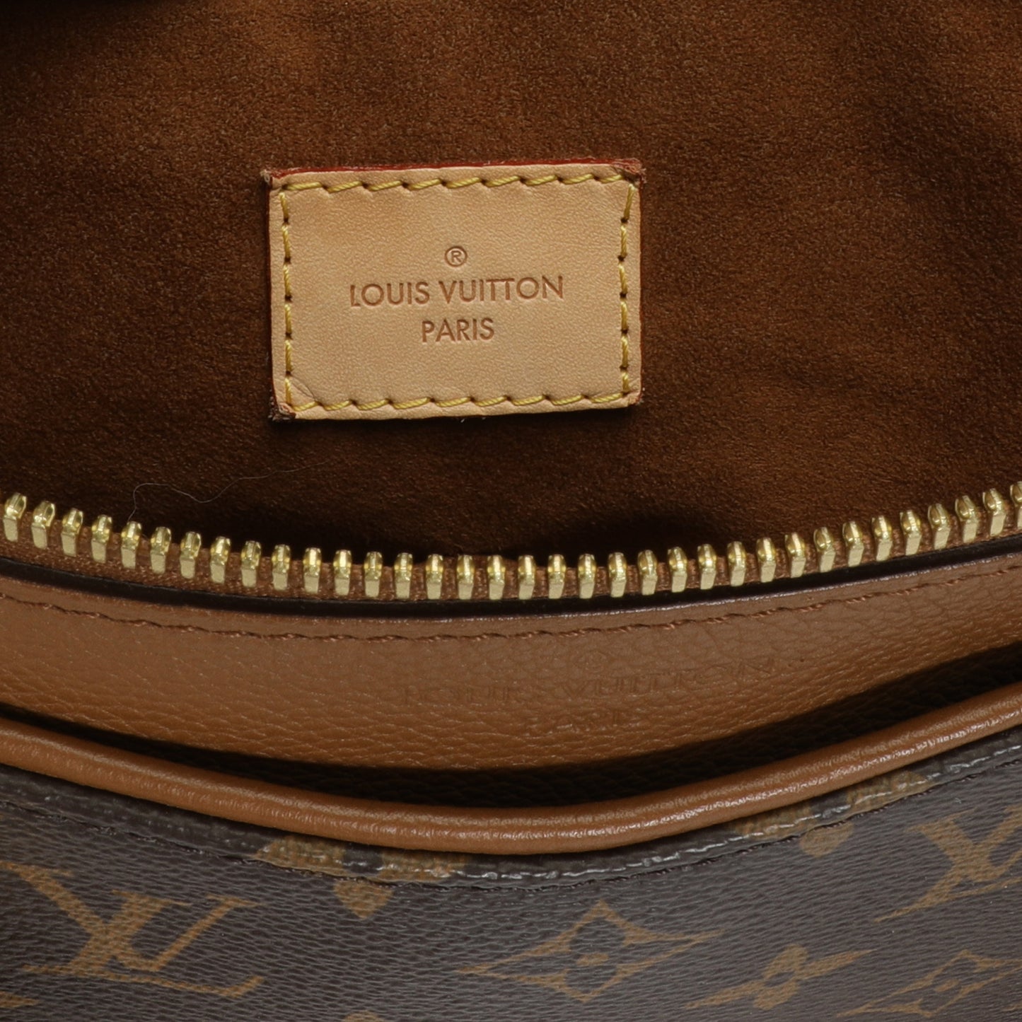 Louis Vuitton Louis Vuitton Monogram Canvas & Havane Pallas MM