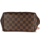 Louis Vuitton Louis Vuitton Damier Ebene & Magnolia Clapton Backpack