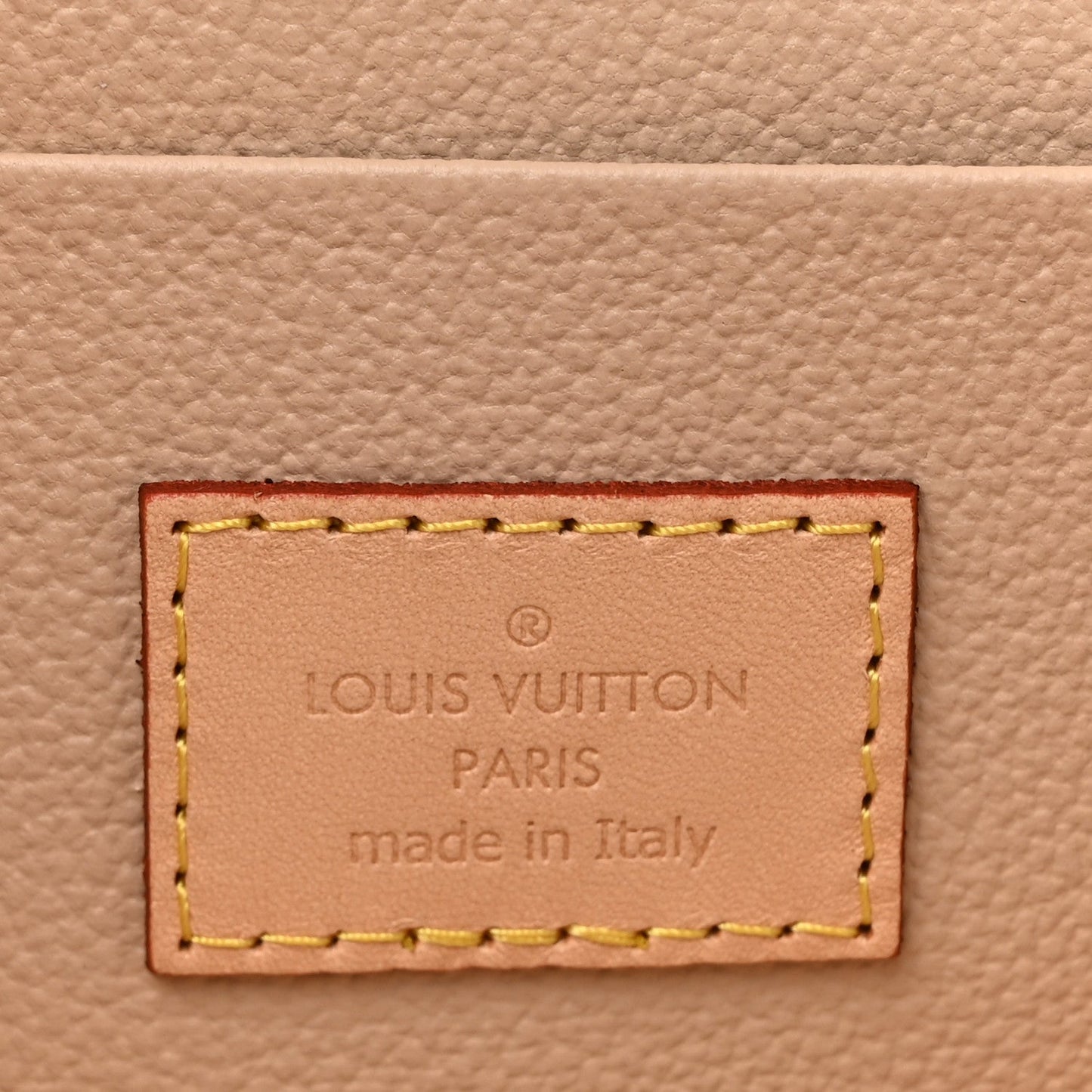Louis Vuitton Monogram Nice Mini