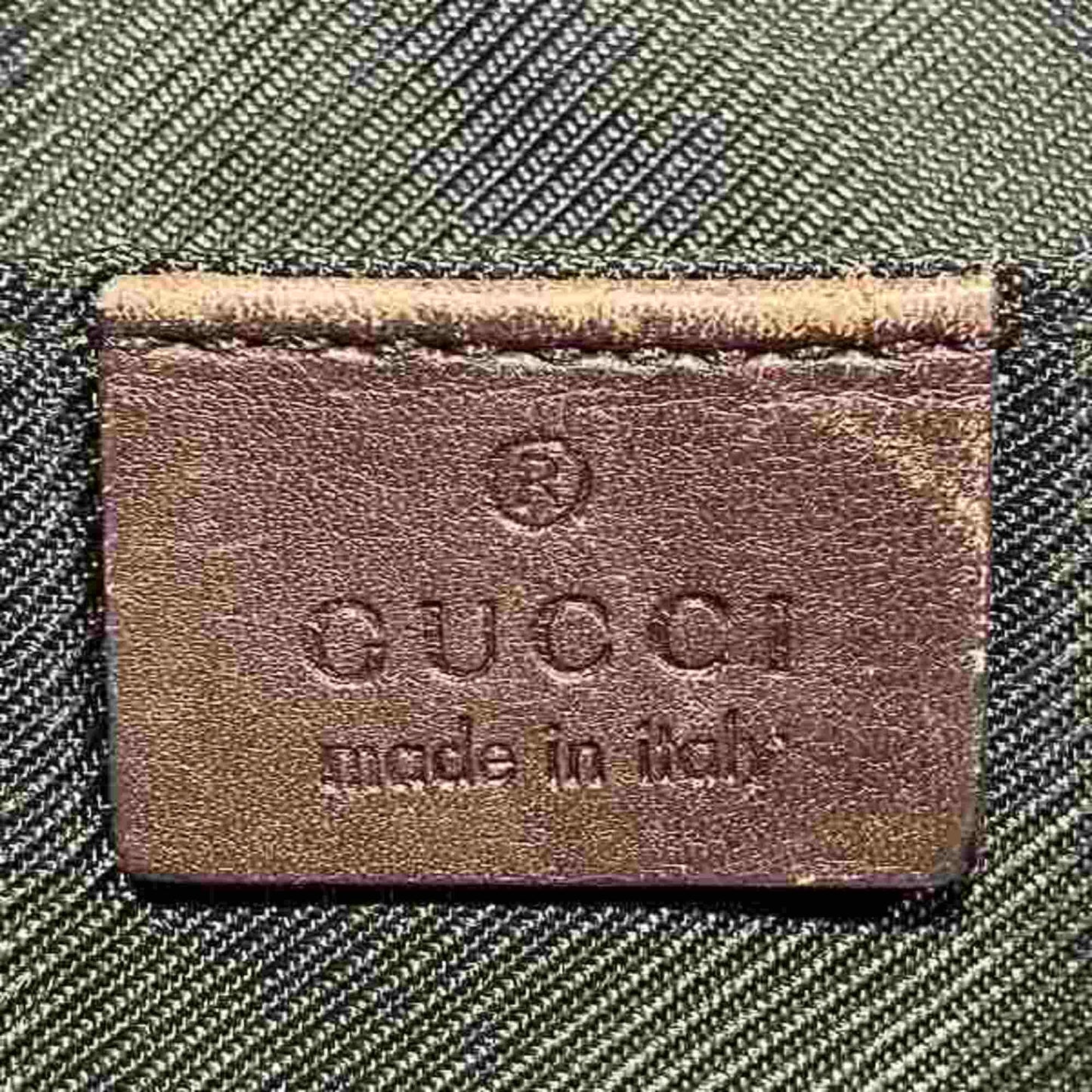 Gucci GG canvas