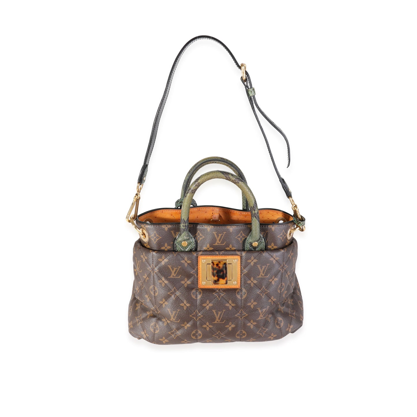Louis Vuitton Louis Vuitton Monogram Canvas & Python Etoile Exotique Bag