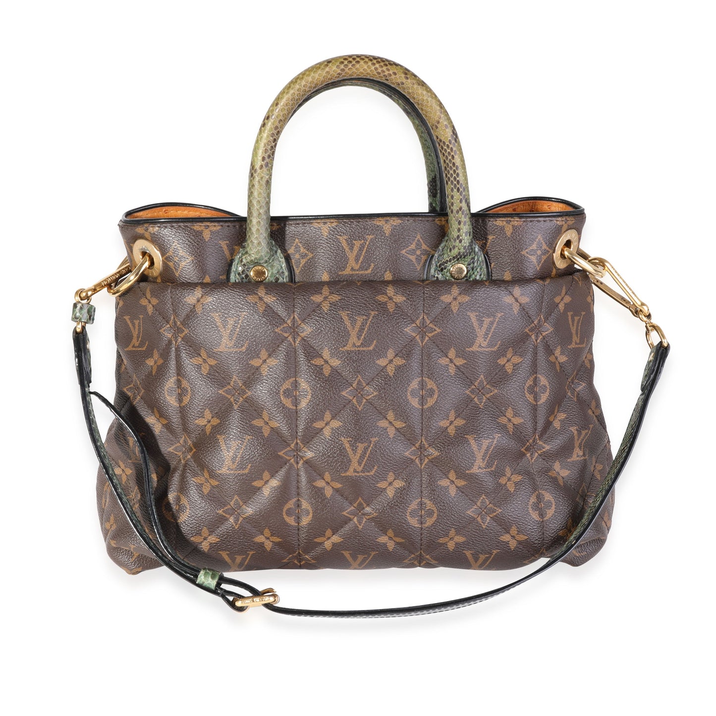 Louis Vuitton Louis Vuitton Monogram Canvas & Python Etoile Exotique Bag