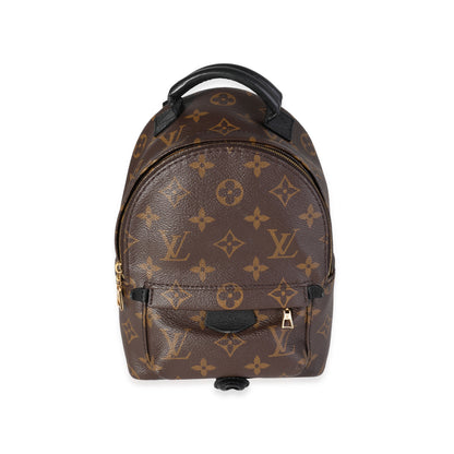 Louis Vuitton Louis Vuitton Monogram Canvas Palm Springs Mini Backpack