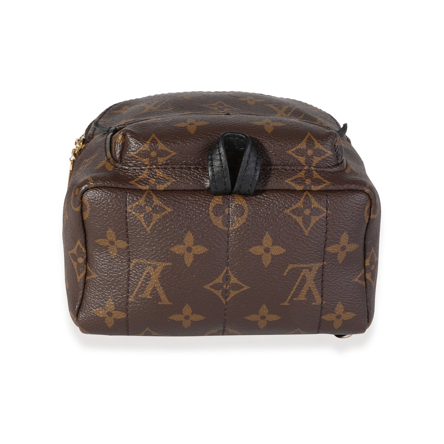 Louis Vuitton Louis Vuitton Monogram Canvas Palm Springs Mini Backpack