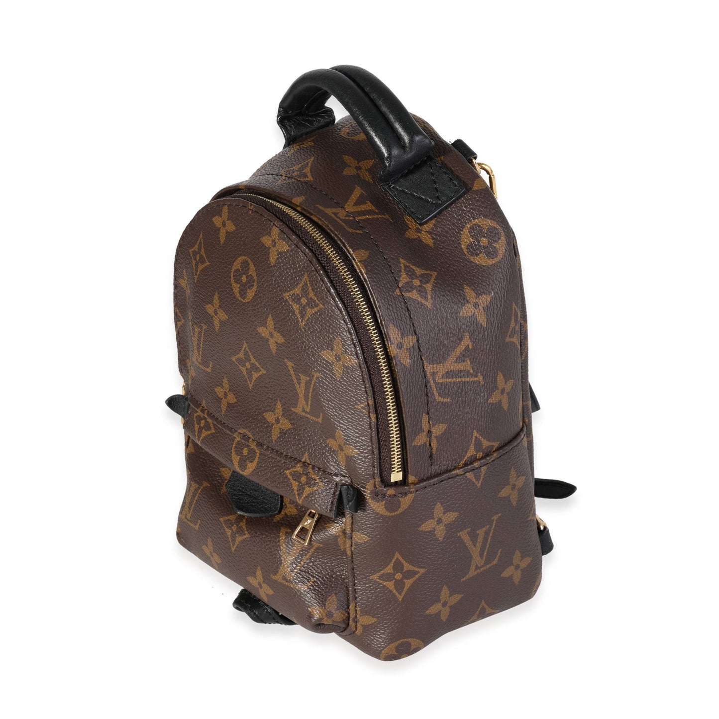 Louis Vuitton Louis Vuitton Monogram Canvas Palm Springs Mini Backpack