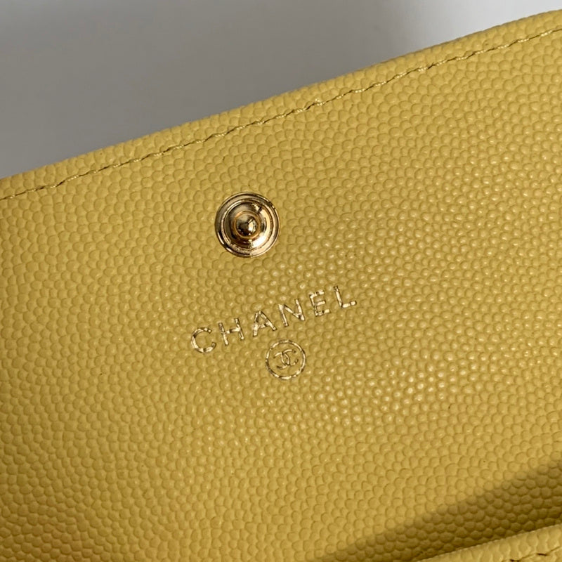Amelia- CHL Bags - 6742