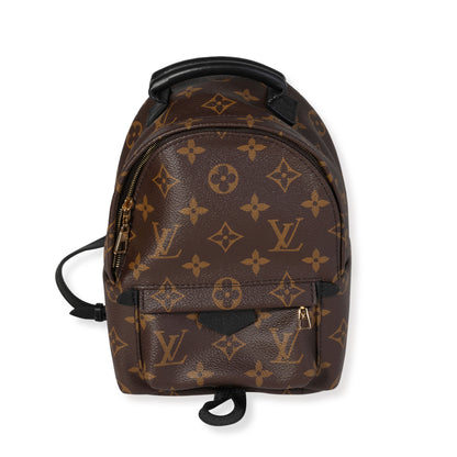 Louis Vuitton Louis Vuitton Monogram Canvas Palm Springs Mini Backpack
