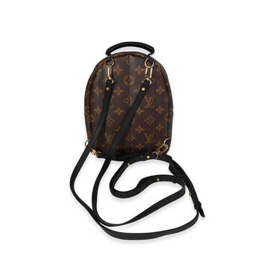 Louis Vuitton Louis Vuitton Monogram Canvas Palm Springs Mini Backpack